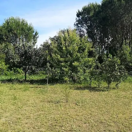 Cottege Pegaso 度假居