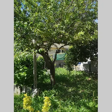 Holiday home Cottege Pegaso *